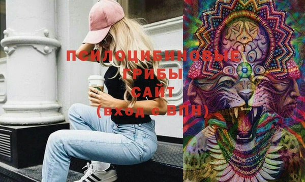 мдпв Абинск