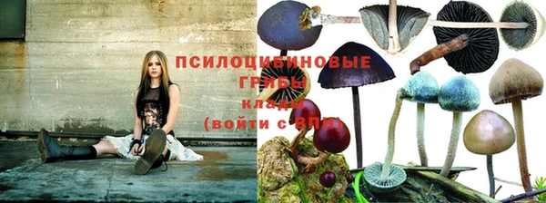 крисы Абдулино