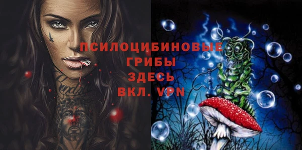 крисы Абдулино