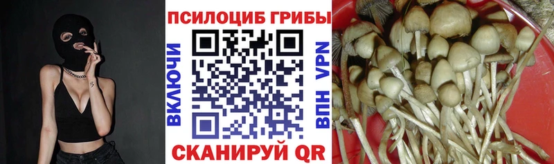 Псилоцибиновые грибы GOLDEN TEACHER  Касимов 